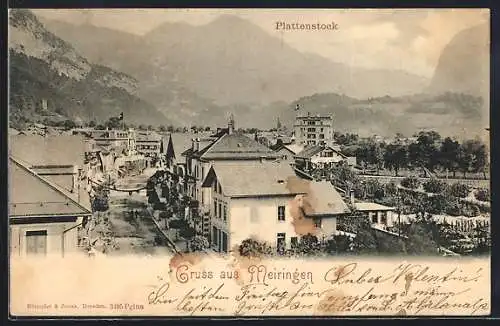 AK Meiringen, Strassenpartie mit Hotel und Plattenstock