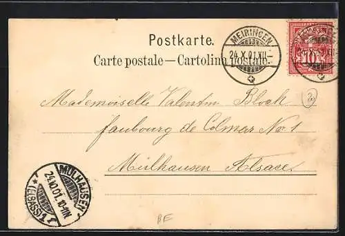 AK Meiringen, Strassenpartie mit Hotel und Plattenstock