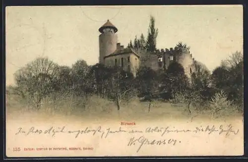 AK Birseck, Burg