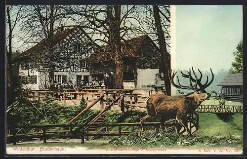 AK Winterthur, Partie am Gasthaus Bruderhaus