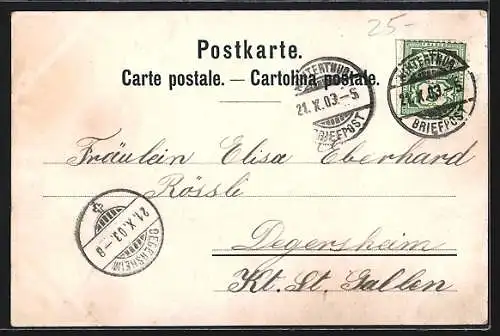 Lithographie Winterthur, Primarschulhaus, Wappen