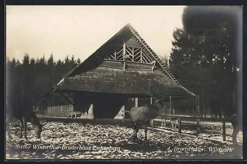 AK Winterthur, Serie Winterthur-Bruderhaus-Eschenberg, 4. Bruderhaus: Wildpark