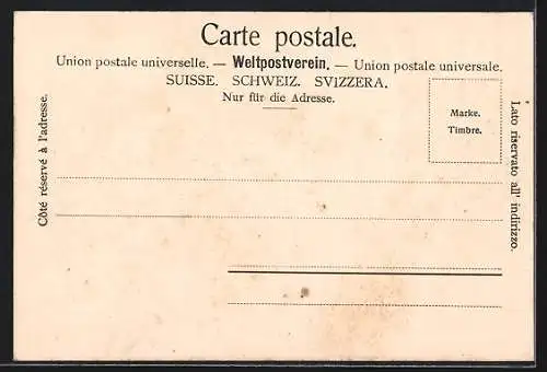 AK Solothurn, Concertsaal und Museum