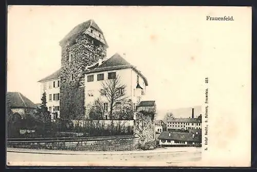 AK Frauenfeld, Strassenpartie am Schloss