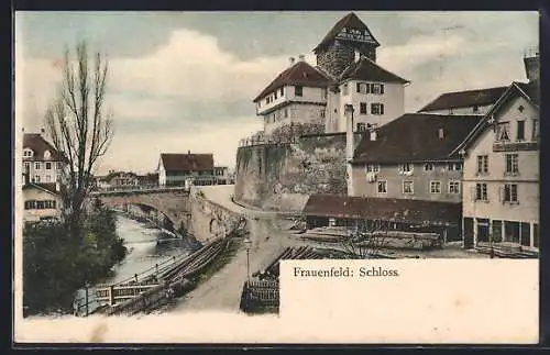 AK Frauenfeld, Blick zum Schloss