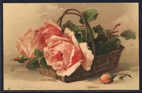 Künstler-AK Catharina Klein: Korb mit orangen Rosenblüten