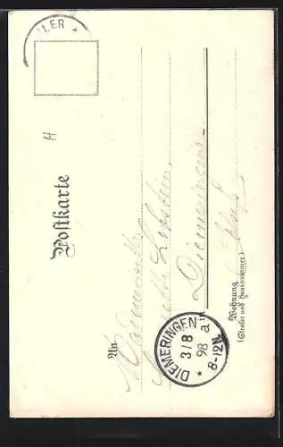 Lithographie Badenweiler, Hotel-Pension Hochblauen, Bes. Xaver Stehlin, Aussichtsturm Hochblauen