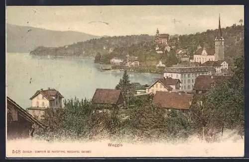 AK Weggis, Gesamtansicht mit Vierwaldstätter See