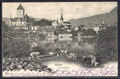 AK Spiez, Panorama