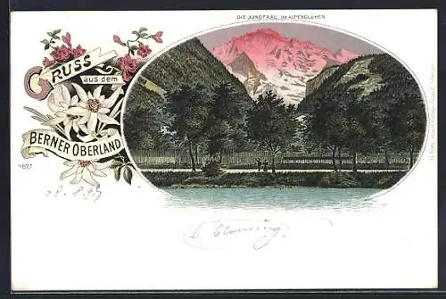 Passepartout-Lithographie Interlaken, Die Jungfrau im Alpenglühen, Blumen