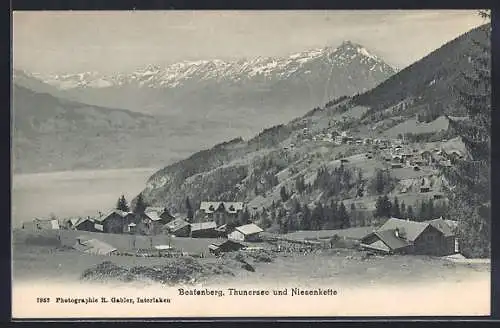 AK Beatenberg, Partie mit Thunersee und Niesenkette