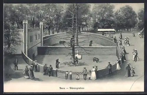 AK Bern, Bären im Bärengraben