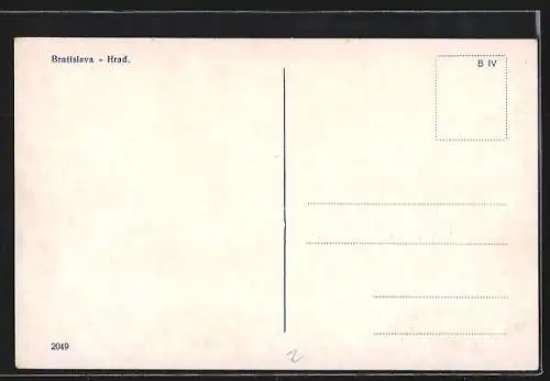 AK Bratislava, Teilansicht mit Burg, Dampfer