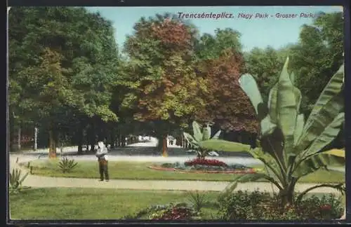 AK Trencsénteplicz, Nagy Park