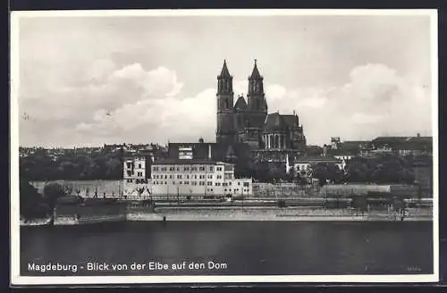 AK Magdeburg, Blick von der Elbe auf den Dom
