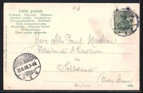 AK Baden-Baden, Teilansicht mit Strassenpartie von der Leopoldshöhe