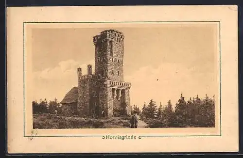 AK Hornisgrinde, Turmgebäude, Panorama