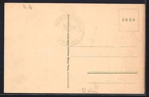 AK Hornisgrinde, Turmgebäude, Panorama