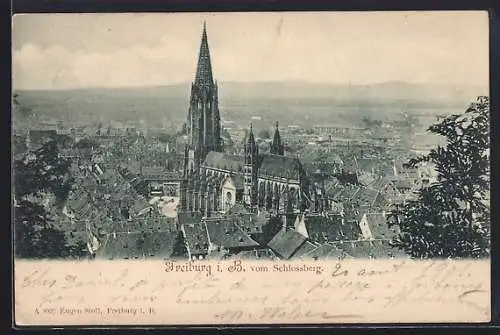 AK Freiburg i. B., Totalansicht vom Schlossberg