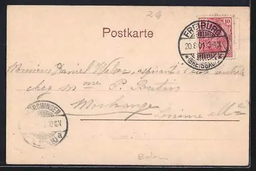 AK Freiburg i. B., Totalansicht vom Schlossberg