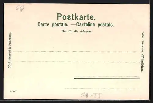 Künstler-AK Manuel Wielandt: Locarno, Madonna del Sasso, Ansicht aus der Vogelschau