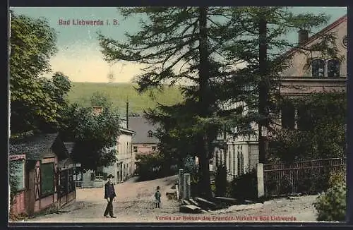 AK Bad Liebwerda / Lazne Libverda, Ortsansicht