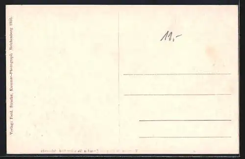 AK Bad Liebwerda / Lazne Libverda, Ortsansicht