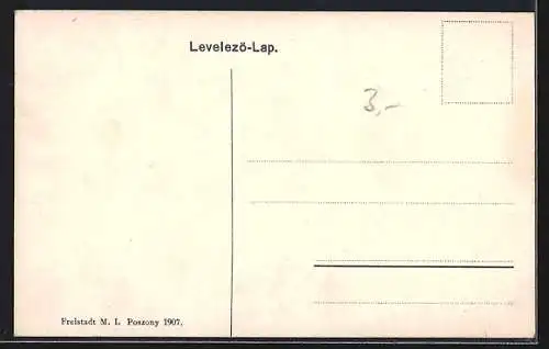 AK Pozsony-Pressburg, Donaupartie mit Dampfer