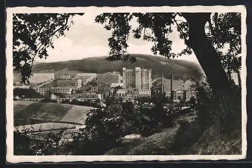 AK Zlin, Celkový pohled