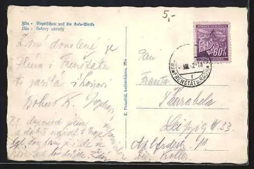 AK Zlin, Celkový pohled