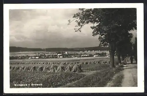 AK Strasice, Gesamtansicht