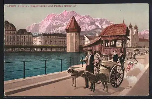 AK Luzern, Kapellbrücke und Pilatus, Hunde im Geschirr ziehen Wagen, Blick auf Turm und Kirche