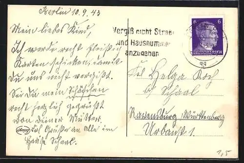 AK Reh an einem sonnigen Wintertag