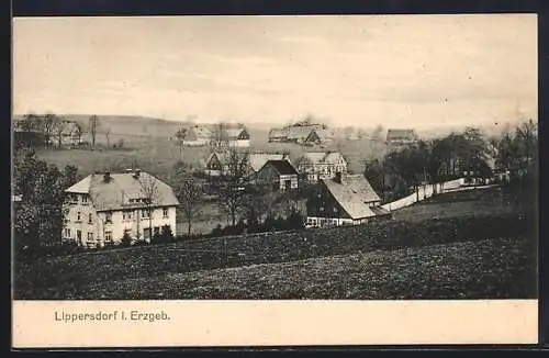 AK Lippersdorf i. Erzgeb., Ortspartie mit Strasse
