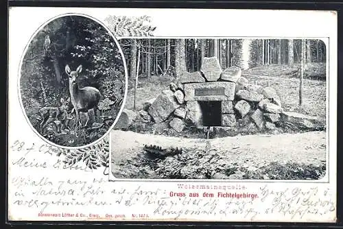 Künstler-AK Ochsenkopf / Fichtelgebirge, Weissmainsquelle, Rehe im Wald