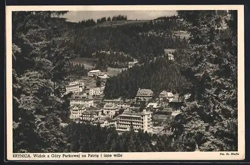 AK Krynica, Widok z Góry Parkowej na Patrie i inne wille
