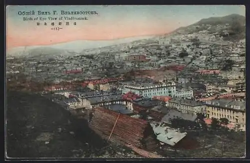 AK Vladivostock, Birds Eye View of the Town