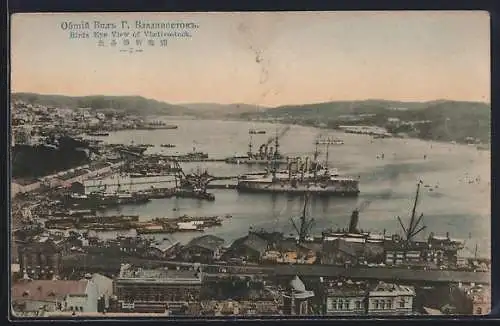 AK Vladivostock, Birds Eye View