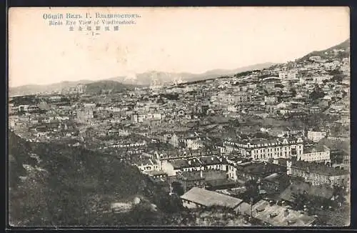 AK Vladivostok, Gesamtansicht der Stadt
