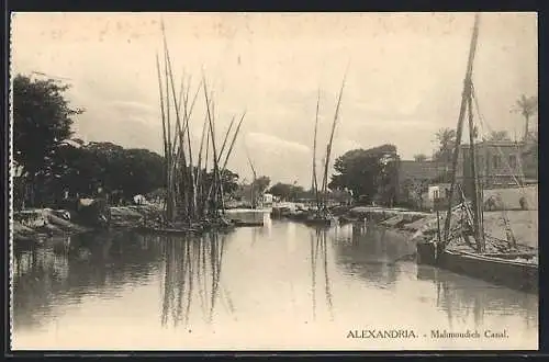 AK Alexandria, Mahmoudieh Canal
