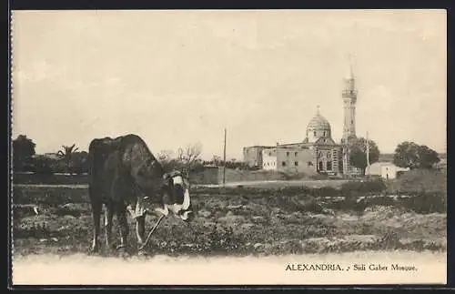 AK Alexandria, Sidi Gaber Mosque