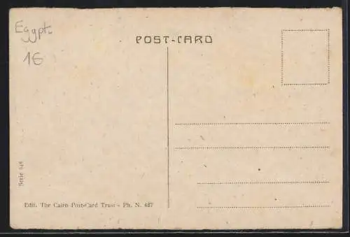 AK Port-Said, Panoramic View