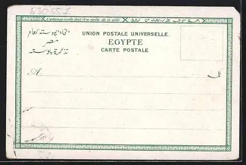 AK Alexandrie, Vue generale mit Moschee