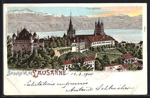 Lithographie Lausanne, Vue generale