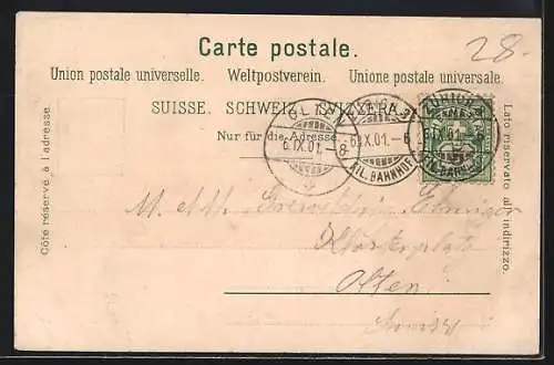 Lithographie Zürich, Gasthaus zur Weid, Totalansicht