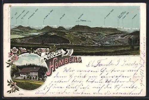 Lithographie Reinach /AG, Restaurant Homberg, Panoramablick in die Berge