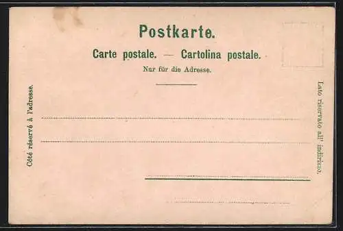 Lithographie Basel, Münster, Spalenthor, Pfalz, Rheinansicht