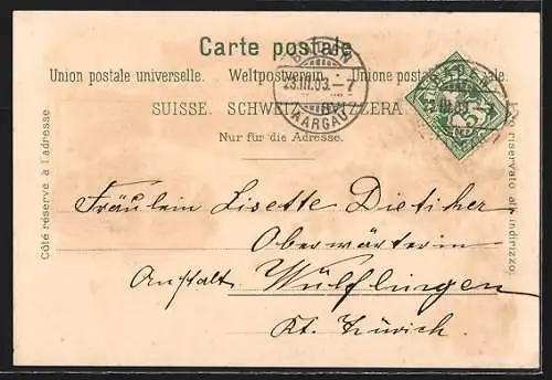 Lithographie Baden, Casino, Schartenfels, Schloss Stein, Stadt. Thurm
