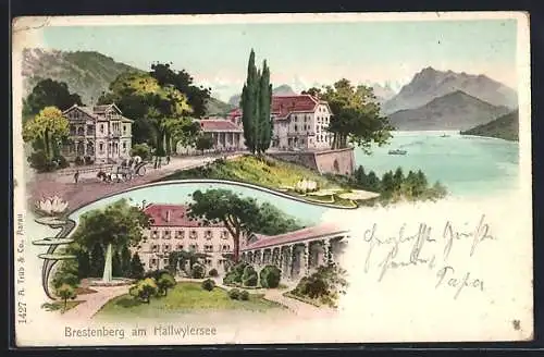AK Brestenberg am Hallwylersee, Das Schloss im Bergseepanorama
