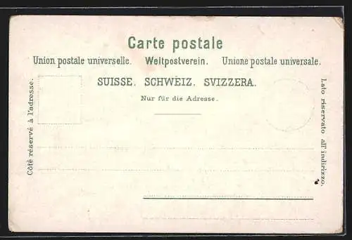 Lithographie Genève, Hôtel des Postes, Les Mouettes, Place neuve